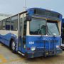 MTA - Q11 Bus