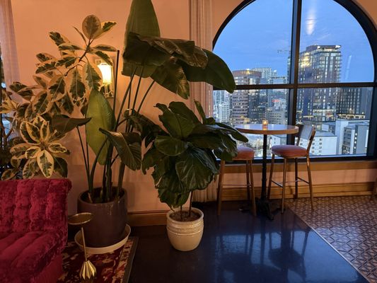 White Limozeen by null