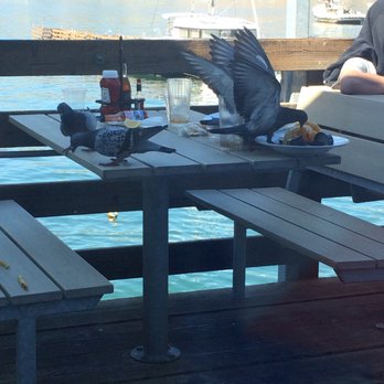 Mersea's - Is this what they means to cater to birds? Stop and eat pigeons on the pier. - Bars Near Me - Avila Beach, California