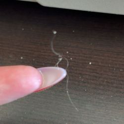 Firehouse Subs Schofield Ave - Hair found in the sandwich
