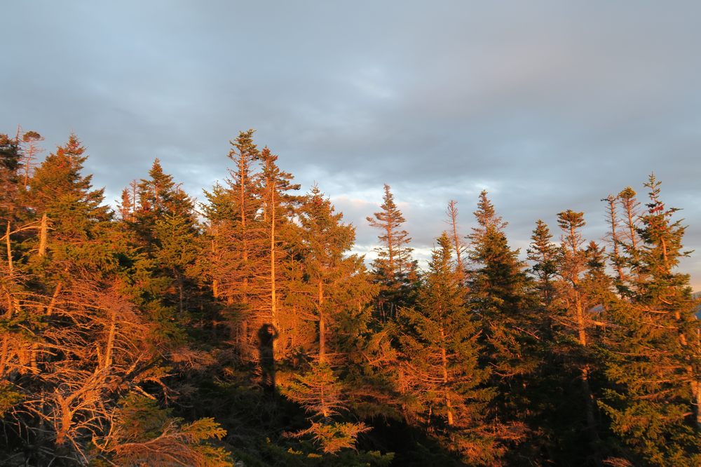 Mount Paugus Logo