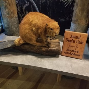 Alabama Wildlife Federation - Community Service/Non-Profit Near Me - Millbrook, Alabama