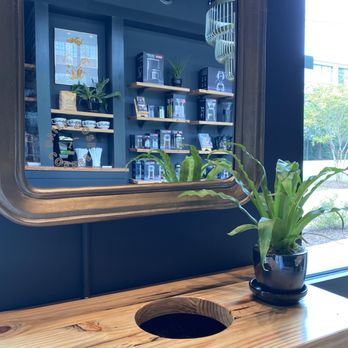 Daily Dose - Coffee & Tea Near Me - Atlanta, Georgia