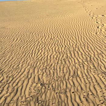 Monahans Sandhills State Park - Sand dune - Hiking Near Me - Monahans, Texas Monahans Sandhills State Park - Sand dune - Hiking Near Me - Monahans, Texas