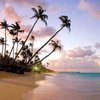 Suitcase of Dreams gift card