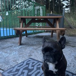 Pacific Holiday RV Resort - Spot next to heated pool