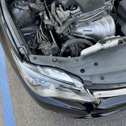 Torrey Pines Collision - Left Headlight.