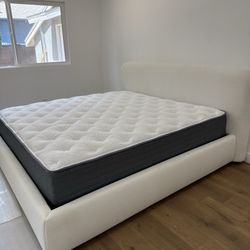Ortho Mattress - Mattress