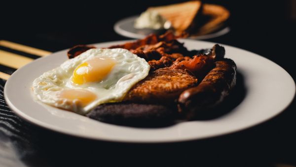 Bike Shed Moto Co by null