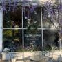 Photo of Nightingale's Acoustic Cafe