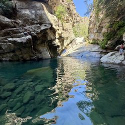 Santa Paula Punch Bowls