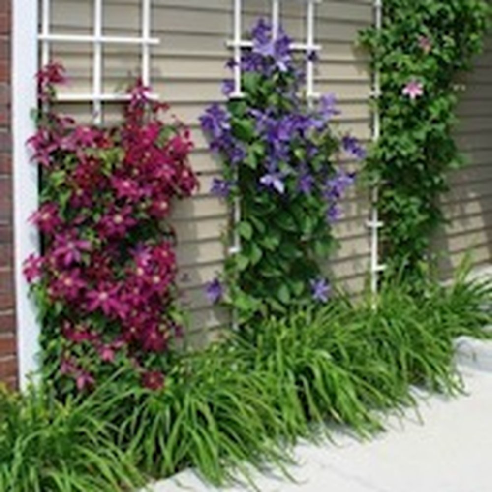 Rooney Landscape - What we were shown - Landscaping Near Me - Palatine, Illinois Rooney Landscape - What we were shown - Landscaping Near Me - Palatine, Illinois