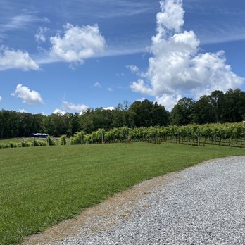 Serenberry Vineyards - Wineries Near Me - Morganton, Georgia Serenberry Vineyards - Wineries Near Me - Morganton, Georgia