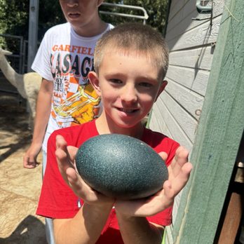 Dirty Bird Ranch - Petting Zoos Near Me