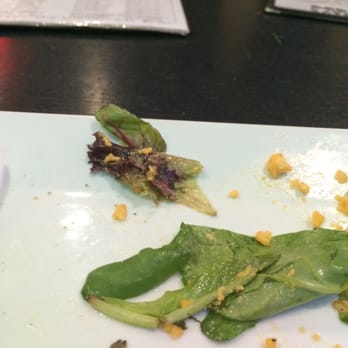 Castaways Gastropub - Slimy lettuce - Gastropubs Near Me - Jensen Beach, Florida