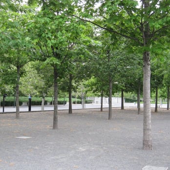 Air Force Memorial - trees on the plaza - Landmarks & Historical Buildings Near Me - Arlington, Virginia