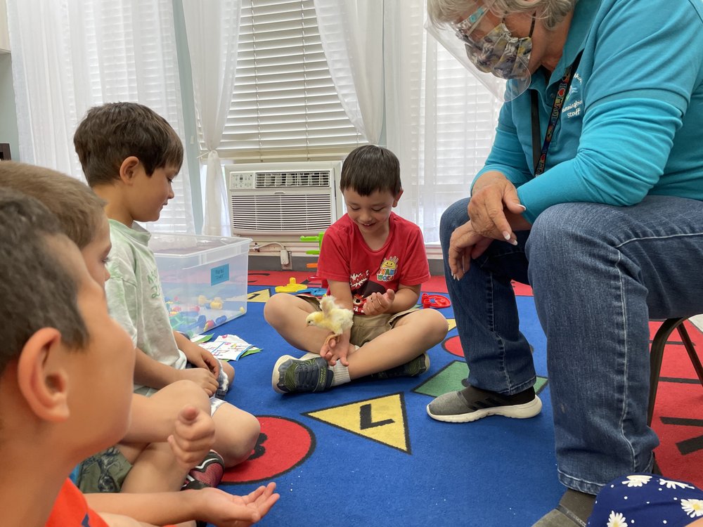 HUMMINGBIRD PRESCHOOL Updated August 2024 76 Photos & 14 Reviews