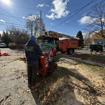 Velasquez Tree Services - Stump grinding - Tree Services Near Me - Waltham, Massachusetts Velasquez Tree Services - Stump grinding - Tree Services Near Me - Waltham, Massachusetts