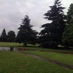 Newbridge Playing Fields - The View...