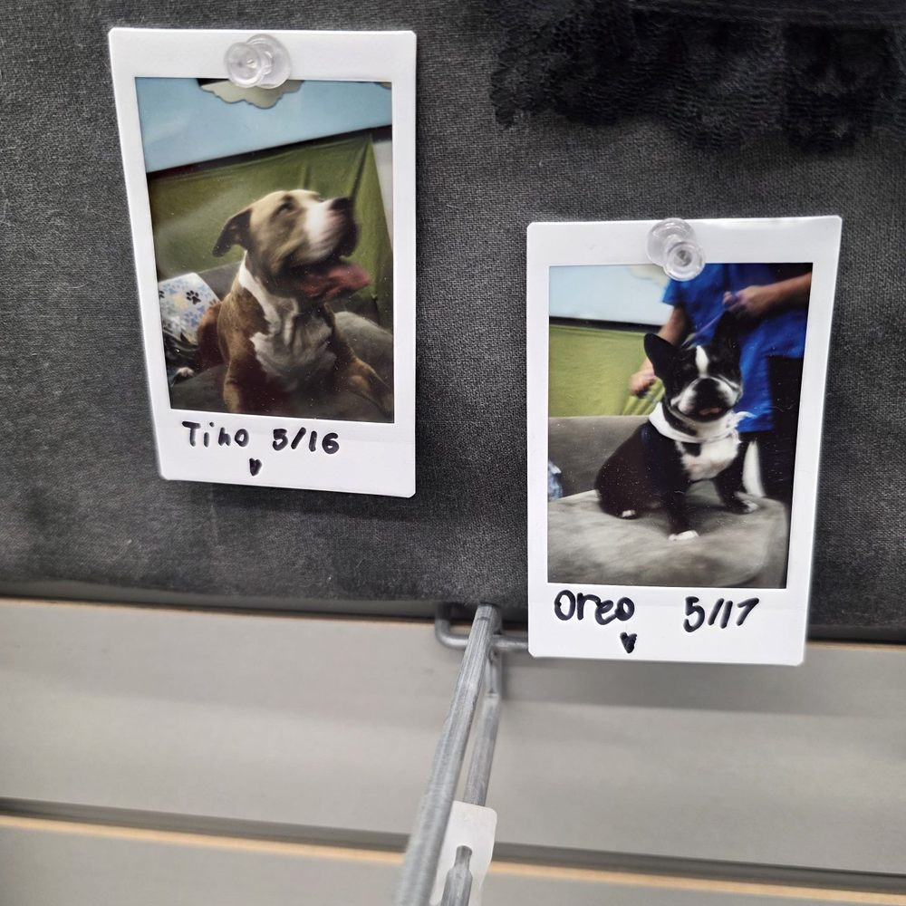Pet Supplies Plus McAllen - Pet Groomers Near Me - McAllen, Texas Pet Supplies Plus McAllen - Pet Groomers Near Me - McAllen, Texas