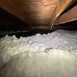 Attic Professional