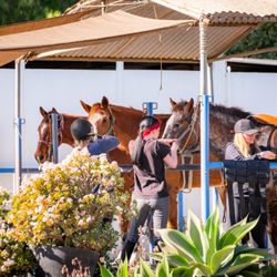 Portuguese Bend Riding Club - English Crossties