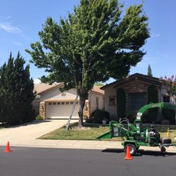 Johnston's Tree Service - Removal