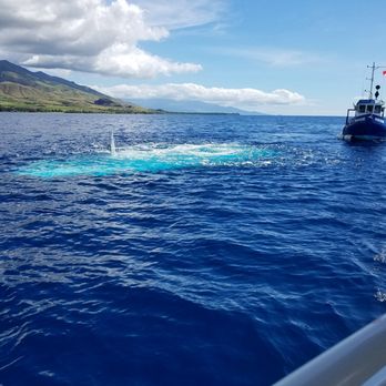 Atlantis Submarines Maui - Tours Near Me - Lahaina, Hawaii Atlantis Submarines Maui - Tours Near Me - Lahaina, Hawaii