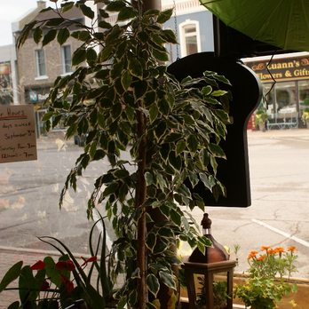 West Sushi - Looking out onto West Streeti - Sushi Bars Near Me - Goderich, Ontario West Sushi - Looking out onto West Streeti - Sushi Bars Near Me - Goderich, Ontario