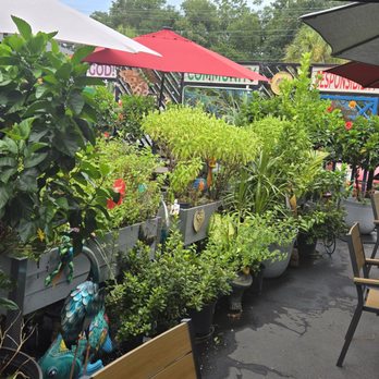 Pontilly Coffee - Coffee & Tea Near Me - New Orleans, Louisiana Pontilly Coffee - Coffee & Tea Near Me - New Orleans, Louisiana