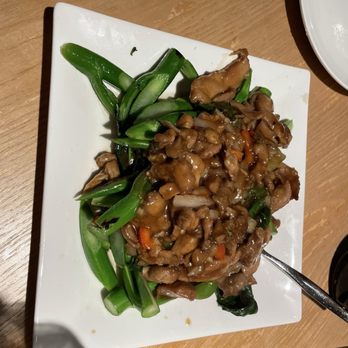 Hong Kong Bistro - Satay Chicken with Chinese Broccoli - Cantonese Near Me - Seattle, Washington Hong Kong Bistro - Satay Chicken with Chinese Broccoli - Cantonese Near Me - Seattle, Washington