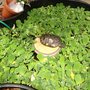 Photo of Keit's Greenhouses & Floral