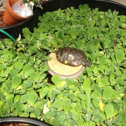 Keit's Greenhouses & Floral