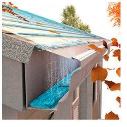 Healthy Gutters