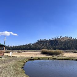 Greer Lodge Resort & Cabins
