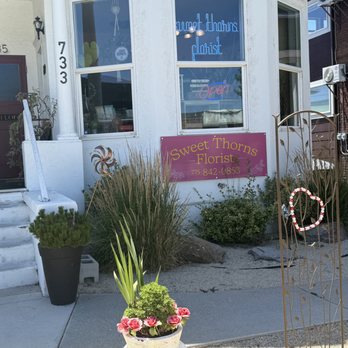 Sweet Thorns Florist - Don't miss this cute little shop right on S. Virginia! - Florists Near Me - Reno, Nevada Sweet Thorns Florist - Don't miss this cute little shop right on S. Virginia! - Florists Near Me - Reno, Nevada