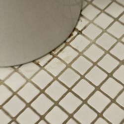 Abby Inn - Urine on the floor by toilet!