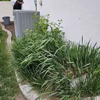 Casualscape Lawn Care - Garden cleanup - Lawn Services Near Me Casualscape Lawn Care - Garden cleanup - Lawn Services Near Me
