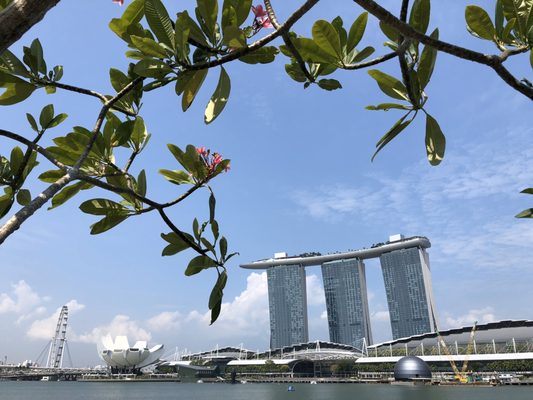 The Clifford Pier by null