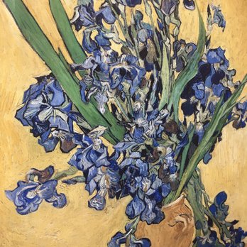 Van Gogh Museum - Irises - Museums Near Me - Amsterdam, New Hampshire
