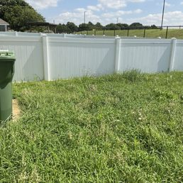 Grass that is not been cut for over a month Grass that is not been cut for over a month