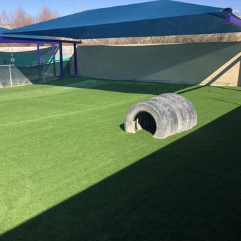 Superior Green Turf - Agility yard after! - Landscaping Near Me - El Paso, Texas