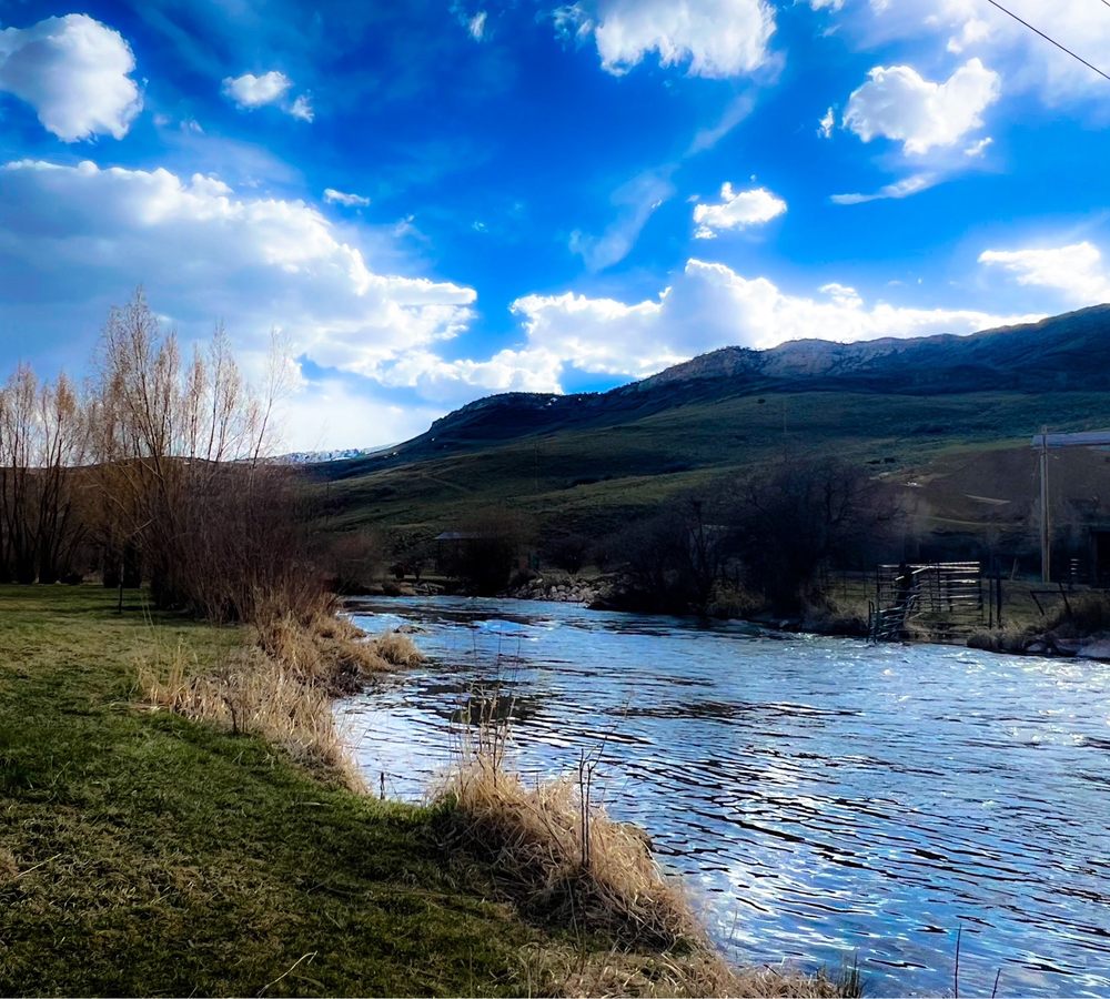 HOLIDAY HILLS RV PARK Updated October 2024 24 Photos & 17 Reviews