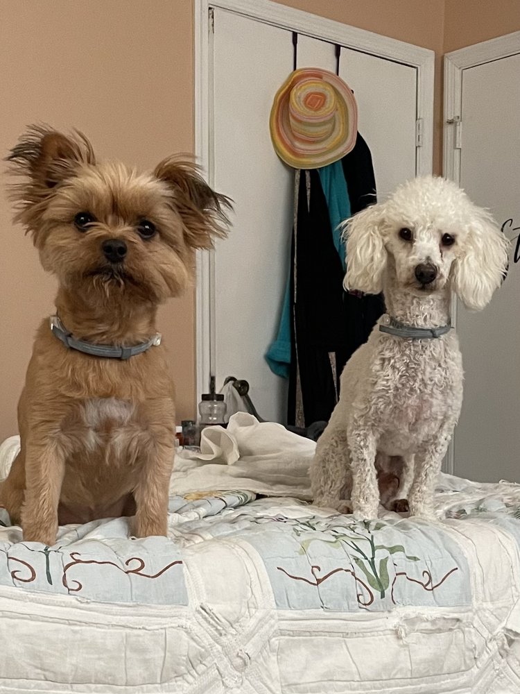 FEEDERS PET SUPPLY Updated May 2024 1250 S Hwy 27, Somerset