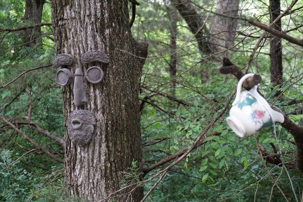 Savannah's Meadow by null