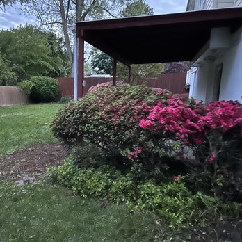 Andrade - Before - Landscaping Near Me Andrade - Before - Landscaping Near Me