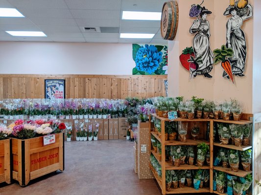 Trader Joe's by null