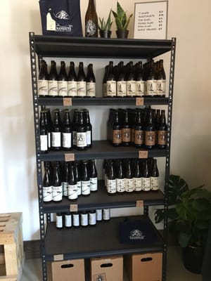 Transient Artisan Ales by null