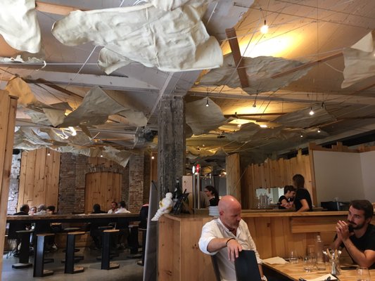 Somiatruites by null