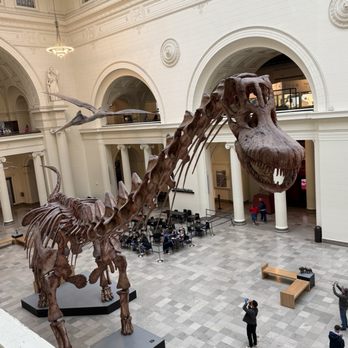 Field Museum - Museums Near Me - Chicago, Illinois